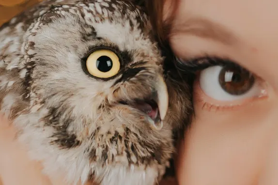 CasinoCasino Spilavíti Stuðningur